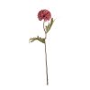 Dandelion hodvábna stonka, výška 38 cm – Tmavoružová