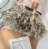 Eukalyptus zväzok, 12-stonkový, výška 34 cm – Ružovozelený