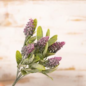 Hroznovec strapcovitý kytica, výška 28 cm - Cyklaménový