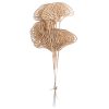Metalický zlatý gingko biloba zväzok, 6-stonkový, výška 37 cm