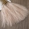 Pampová tráva zväzok, 10-stonkový, výška 48 cm – Púdrovohnedá