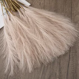   Pampová tráva zväzok, 10-stonkový, výška 48 cm - Púdrovohnedá