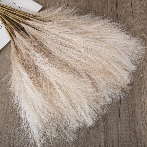 Pampová tráva zväzok, 10-stonkový, výška 48 cm – Béžová