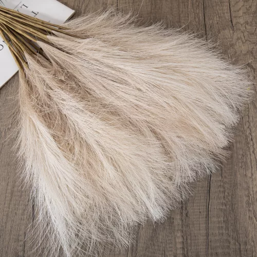 Pampová tráva zväzok, 10-stonkový, výška 48 cm - Béžová