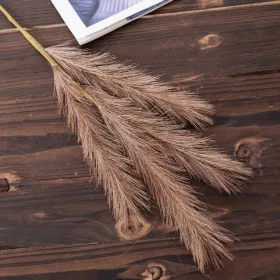Pampová tráva vetva, 4-vetvová, výška 58 cm - Hnedá