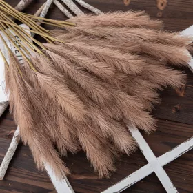 Pampová tráva vetva, 4-vetvová, výška 58 cm - Hnedá