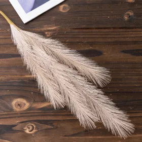 Pampová tráva vetva, 4-vetvová, výška 58 cm - Béžová
