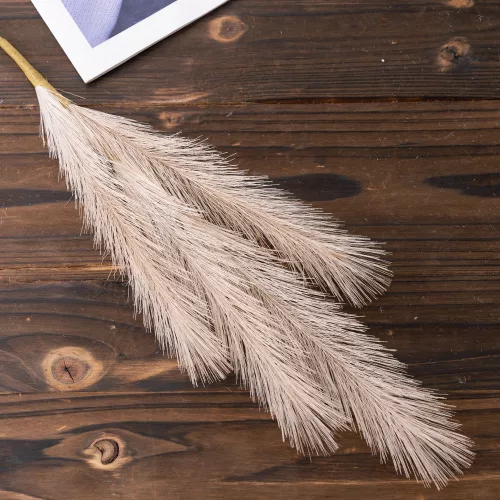 Pampová tráva vetva, 4-vetvová, výška 58 cm - Béžová