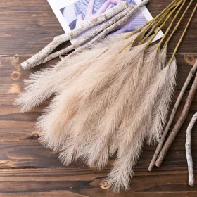 Pampová tráva vetva, 4-vetvová, výška 58 cm - Béžová