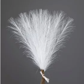   Strieborná metalická pampová tráva, 20-stonkový zväzok, výška 45 cm - Biely