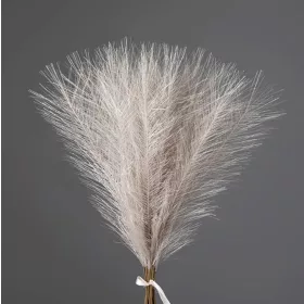   Strieborná metalická pampová tráva, 20-stonkový zväzok, výška 45 cm - Béžová