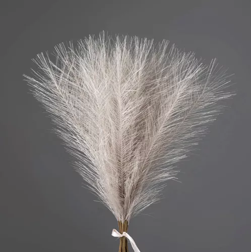 Strieborná metalická pampová tráva, 20-stonkový zväzok, výška 45 cm - Béžová