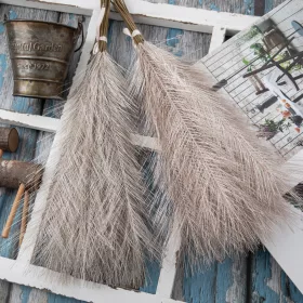   Strieborná metalická pampová tráva, 20-stonkový zväzok, výška 45 cm - Šampanská