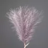 Strieborná metalická pampová tráva, 20-stonkový zväzok, výška 45 cm - Fialová