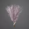 Strieborná metalická pampová tráva, 20-stonkový zväzok, výška 45 cm - Fialová