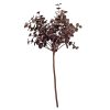 Eukalyptus umelá vetva, výška 33 cm – Svetlohnedá