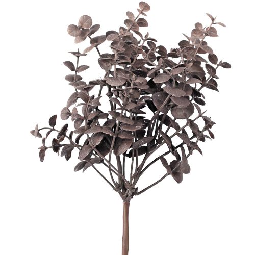 Eukalyptus umelá vetva, výška 33 cm – Tmavohnedá