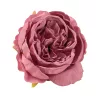 Pivónia hodvábny kvet, priemer 5,5 cm - Rose red