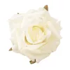 Ruža hodvábny kvet, priemer 8 cm - Ekrú