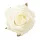 Ruža hodvábny kvet, priemer 8 cm - Ekrú