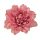 Dália hodvábny kvet, priemer 8 cm - Ružový