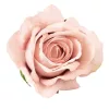 Zamatová ruža kvet, priemer 8 cm - Šampanský