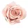 Zamatová ruža kvet, priemer 8 cm - Šampanský