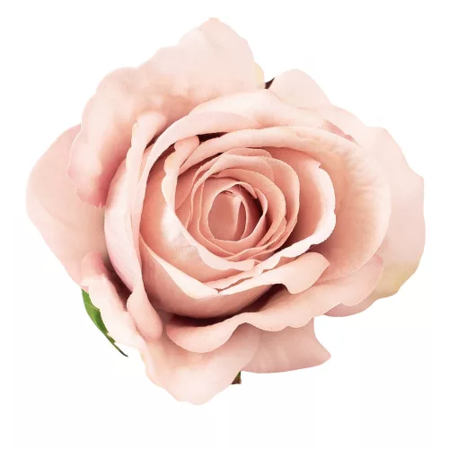 Zamatová ruža kvet, priemer 8 cm - Šampanský