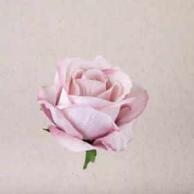 Zamatová ruža kvet, priemer 8 cm - Šampanský