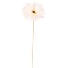 Gerbera hodvábna stonka, výška 55 cm, priemer kvetu 10 cm – Biely
