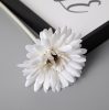 Gerbera hodvábna stonka, výška 55 cm, priemer kvetu 10 cm – Biely