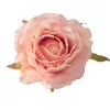 Ruža hodvábny kvet, priemer 7,5 cm - Šampanský