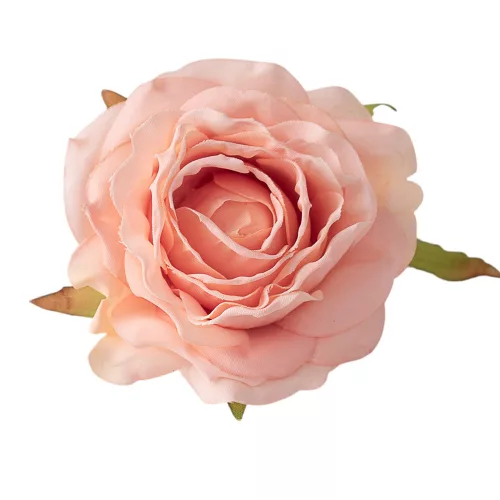 Ruža hodvábny kvet, priemer 7,5 cm - Šampanský