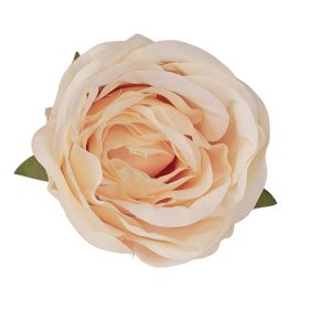Anglická ruža hodvábny kvet, priemer 5,5 cm - Krémový