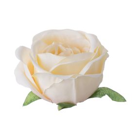 Anglická ruža hodvábny kvet, priemer 5,5 cm - Krémový