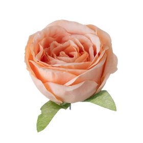   Anglická ruža hodvábny kvet, priemer 5,5 cm - Tmavošampanský