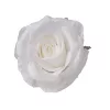 Ruža hodvábny kvet, priemer 10 cm - Biely