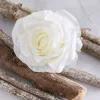 Ruža hodvábny kvet, priemer 10 cm - Biely