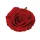 Ruža hodvábny kvet, priemer 10 cm - Červený