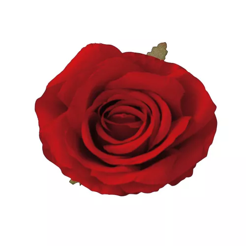 Ruža hodvábny kvet, priemer 10 cm - Červený