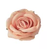 Ruža hodvábny kvet, priemer 10 cm - Pastelovo oranžový