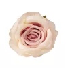 Ruža hodvábny kvet, priemer 10 cm - Svetloružový