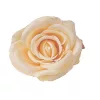 Ruža hodvábny kvet, priemer 10 cm - Šampanský