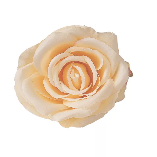 Ruža hodvábny kvet, priemer 10 cm - Šampanský