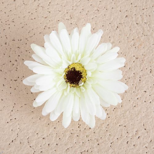 Gerbera hodvábny kvet, priemer 9 cm – Zelenobiely