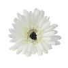 Gerbera hodvábny kvet, priemer 9 cm – Zelenobiely