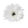 Gerbera hodvábny kvet, priemer 9 cm - Biely