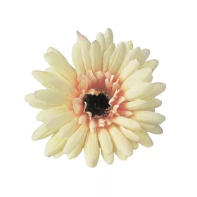 Gerbera hodvábny kvet, priemer 9 cm - Krémový
