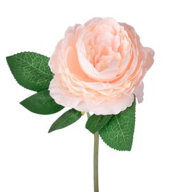 Ruža hodvábna stonka, výška 28 cm - Šampanský