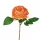 Ruža hodvábna stonka, výška 28 cm - Oranžový